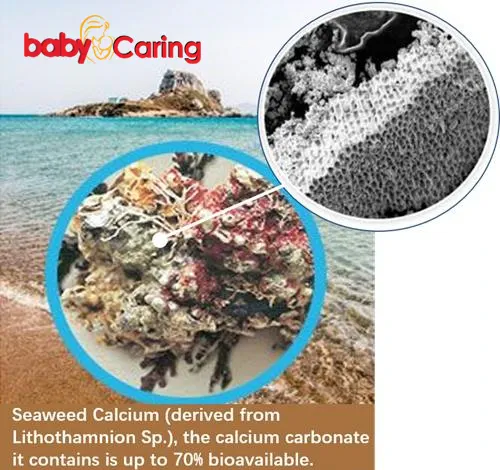 Seaweed calcium