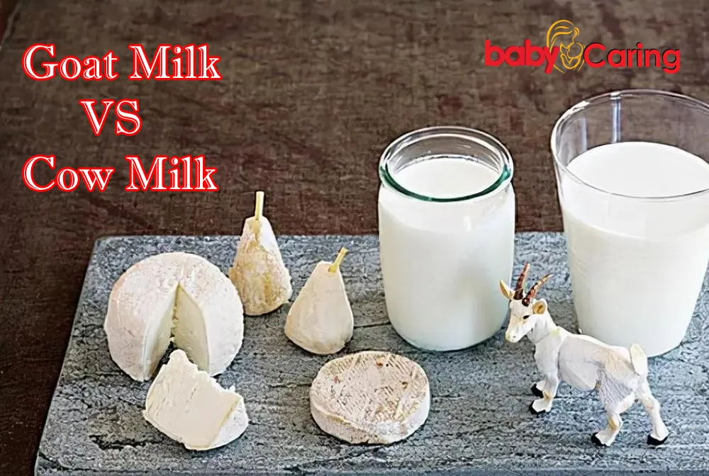 goat milk vs cow milk for babies
