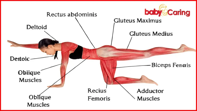 Rehabilitation Exercises