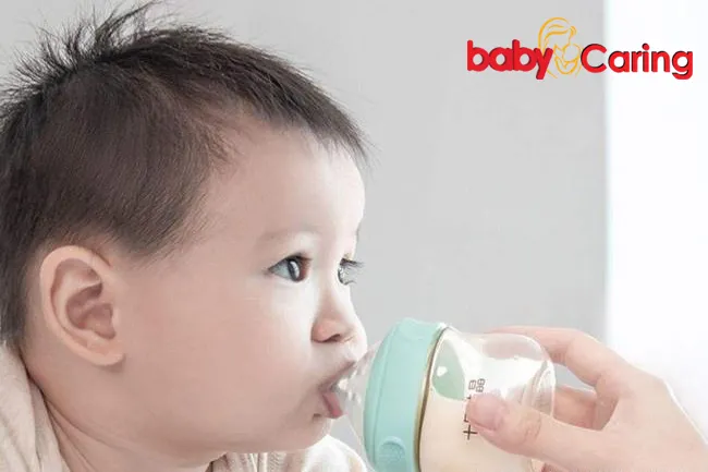 feed bottle